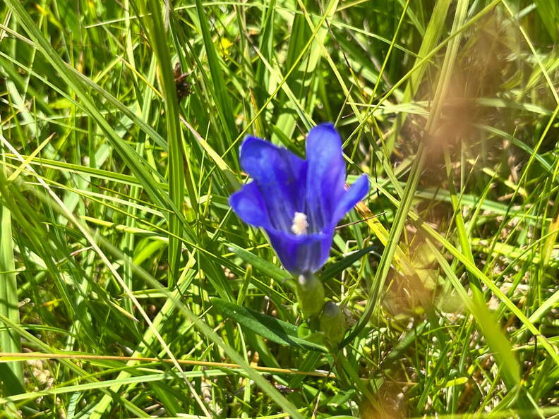 22-07-05 13-23-00 1402